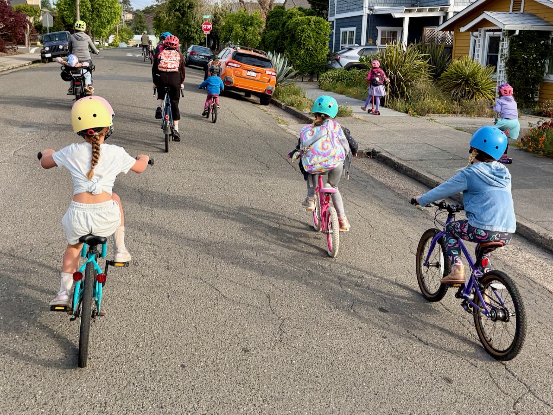 Kids riding their bikes to school down a Petaluma street